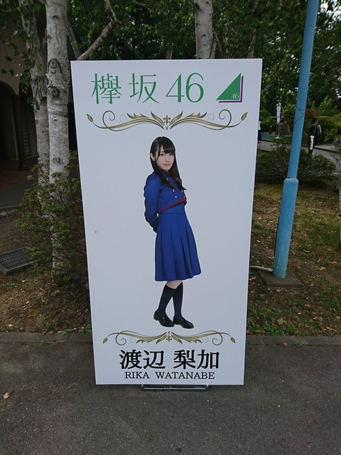 パネル5
