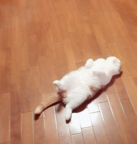 ネタ8