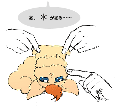 ぬいぐるみ3
