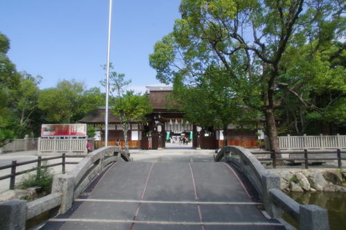 IMGP6195