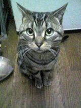 Image005~00 - コピー