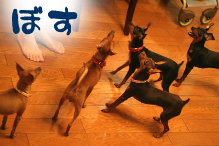 ML集会7