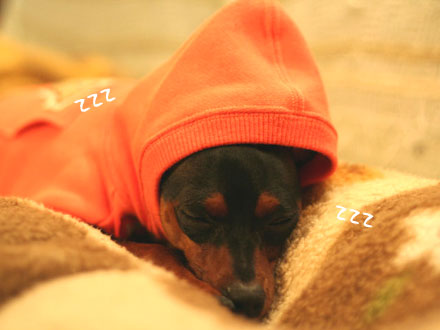 とんがりノアち2