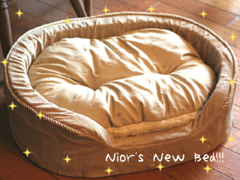 NEW BED3