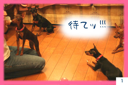ML集会1
