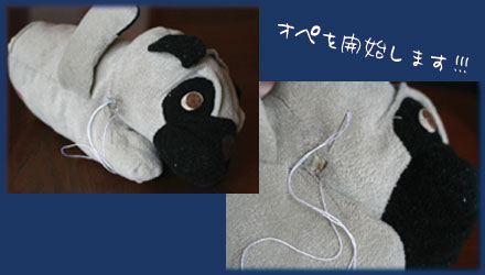 ブルのオペ1