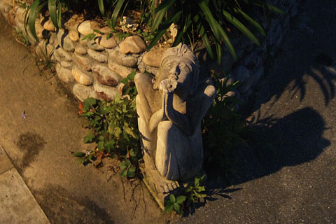 payaka02