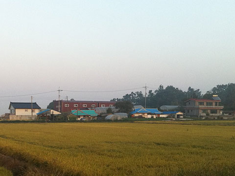 korea14