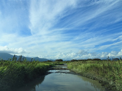 45Rのアフリカンオーバル&ユニクロデニム&ジャマン葉っぱ (7)