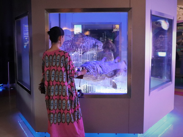 深海ミュージアム (7)