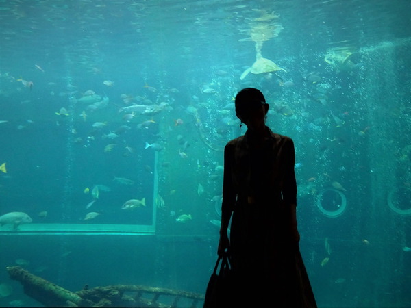 箱根園水族館 (13)