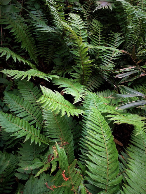 ブロックプリントのエスニック羽織 (6)