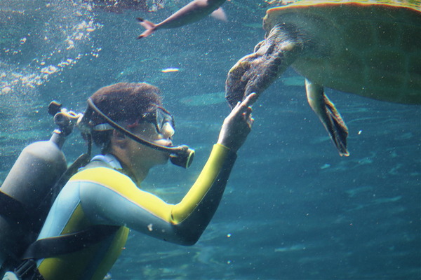 箱根園水族館 (8)