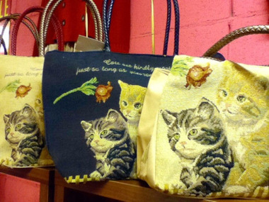 1月18日猫BG