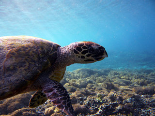 P1170940[1]