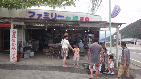 御坂峠天下茶屋周辺直売所桃お土産桃狩り