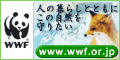 wwfbanner