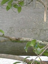 040923_1559~0001.jpg