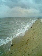040905_1541~0001.jpg