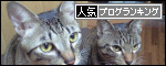 バナー