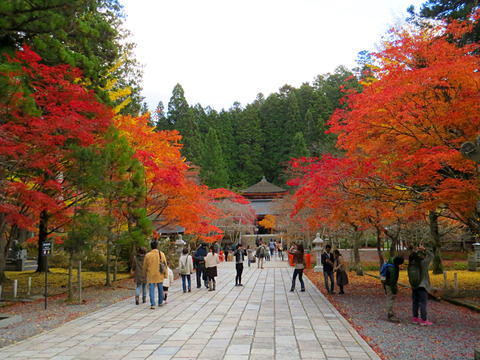 2014-11-03-16-16-21