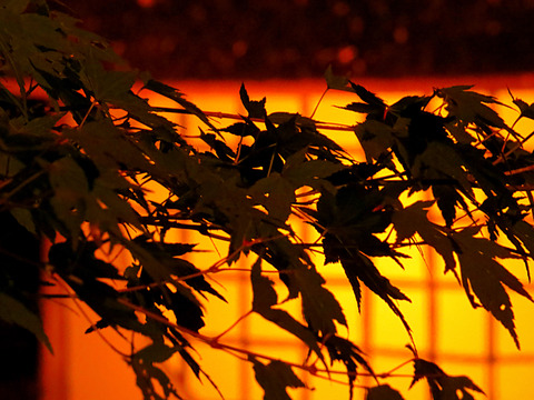 2014-10-25-20-03-07