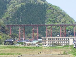 12603720_149511768_1large