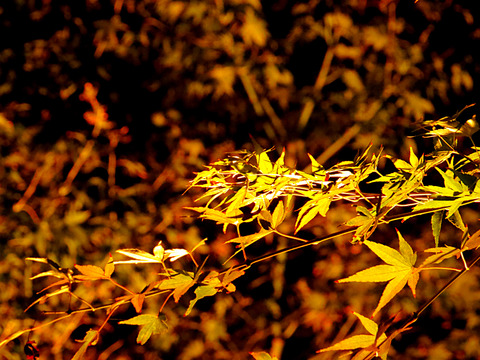 2014-10-25-20-01-34