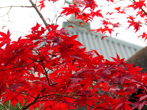 2014-11-03-15-30-10