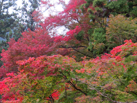 2014-10-25-14-45-03