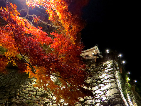 2014-11-23-19-15-19