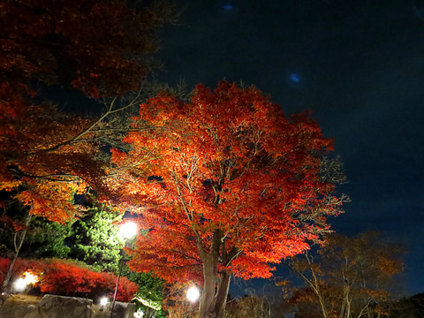 2014-11-23-19-10-35
