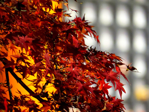 2014-11-23-19-19-11