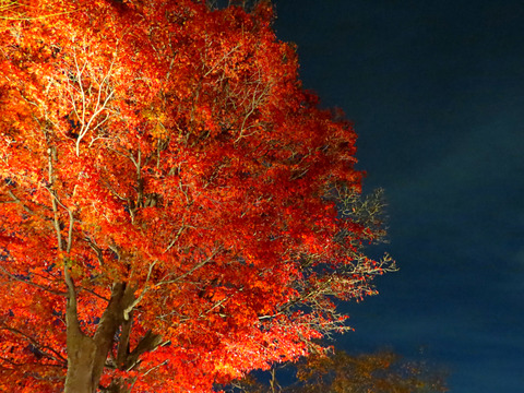 2014-11-23-19-09-04