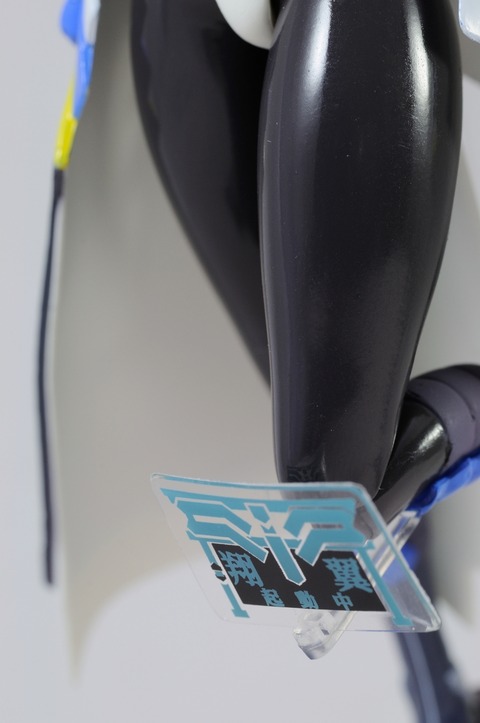 DSC_0196_resize