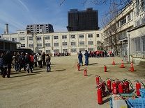 DSC05203-y8