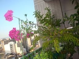 DSC08995-b40