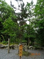 DSC00327-b8