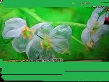 DSC01189-b60