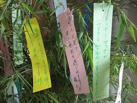 DSCF2020-b10