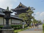 DSC07424-y6