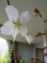 DSC05925-t8