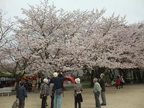 DSCF8688-b10