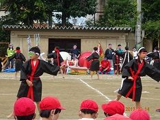 DSC03201-y9