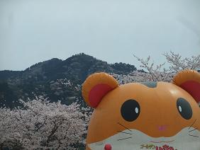 DSCF8697-b10