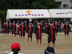DSC03183-y9