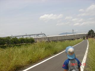 ad536506.jpg