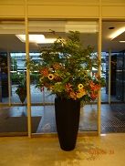 DSC00376-b7