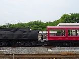 DSC00491-b6