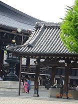 DSC07417-t8